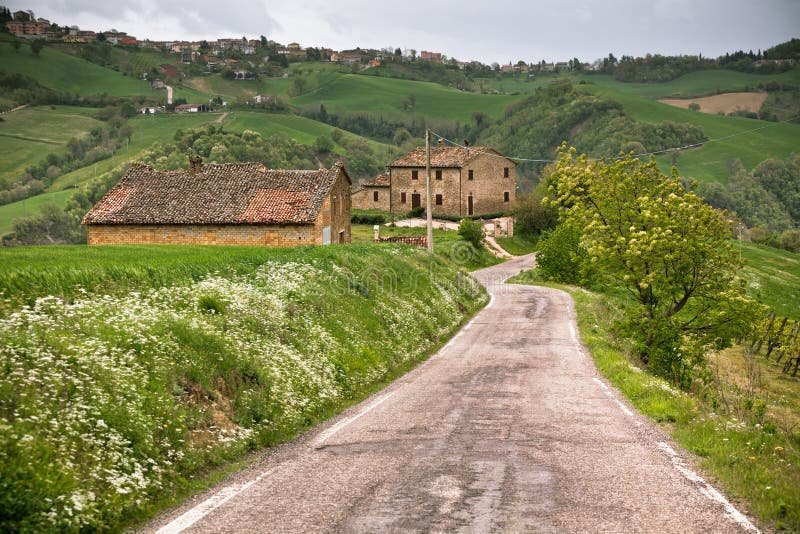 Scopri di più su chicken road casino